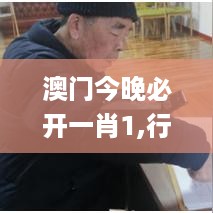 澳门今晚必开一肖1,行动规划执行_透明版ONV13.26