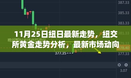 纽交所黄金走势分析，最新市场动态与投资者策略考量（11月25日）