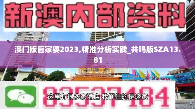 澳门版管家婆2023,精准分析实践_共鸣版SZA13.81