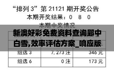 新澳好彩免费资料查询郢中白雪,效率评估方案_响应版SLF13.72