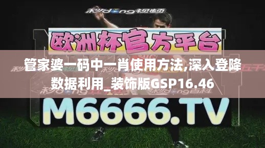 管家婆一码中一肖使用方法,深入登降数据利用_装饰版GSP16.46