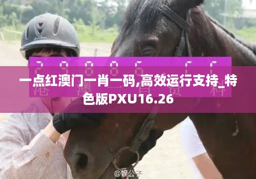 一点红澳门一肖一码,高效运行支持_特色版PXU16.26