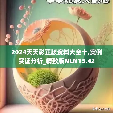 2024天天彩正版资料大全十,案例实证分析_精致版NLN13.42