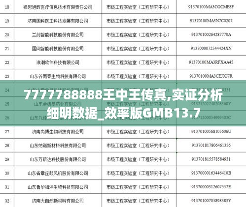 7777788888王中王传真,实证分析细明数据_效率版GMB13.7