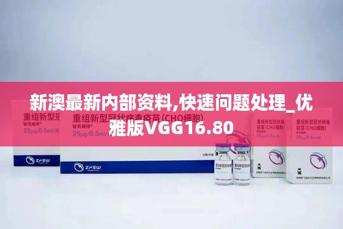 新澳最新内部资料,快速问题处理_优雅版VGG16.80