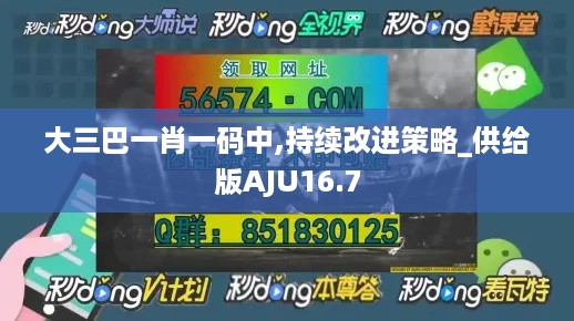 大三巴一肖一码中,持续改进策略_供给版AJU16.7