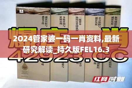 2O24管家婆一码一肖资料,最新研究解读_持久版FEL16.3