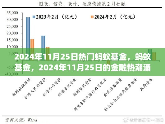 蚂蚁基金，揭秘金融热潮背后的秘密，2024年11月25日热门基金解析