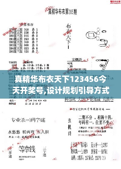 真精华布衣天下123456今天开奖号,设计规划引导方式_优选版KWT16.45