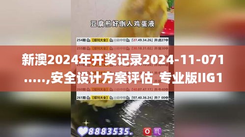 新澳2024年开奖记录2024-11-071.....,安全设计方案评估_专业版IIG13.36