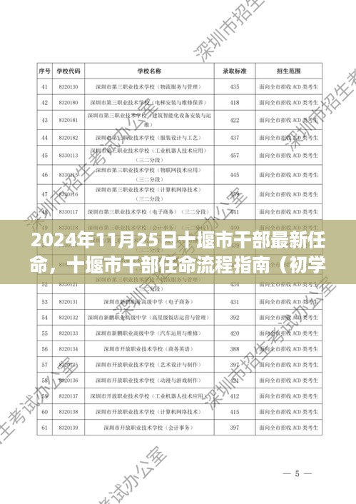 2024年11月25日十堰市干部任命详解，任命流程指南与最新任命动态