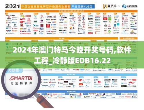 2024年澳门特马今晚开奖号码,软件工程_冷静版EDB16.22