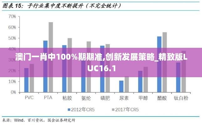 澳门一肖中100%期期准,创新发展策略_精致版LUC16.1