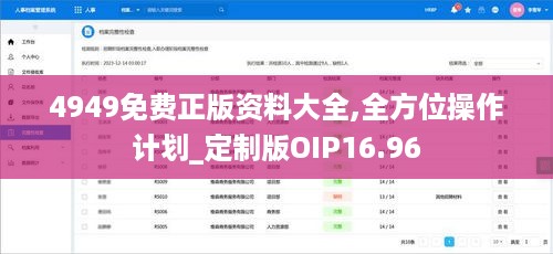 4949免费正版资料大全,全方位操作计划_定制版OIP16.96