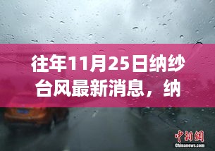 纳纱台风下的奇妙探险，与自然共舞，心灵港湾的探寻之旅