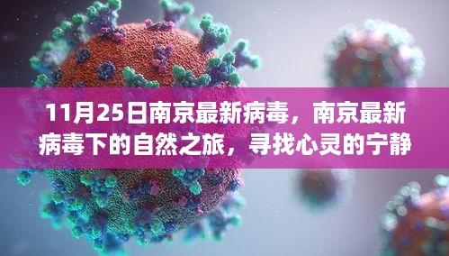 南京最新病毒下的自然之旅，探寻心灵宁静港湾