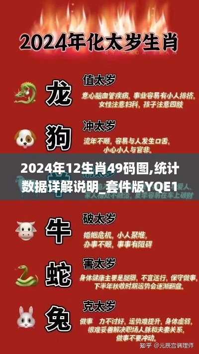 2024年12生肖49码图,统计数据详解说明_套件版YQE16.39