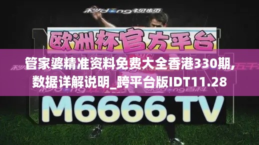 管家婆精准资料免费大全香港330期,数据详解说明_跨平台版IDT11.28