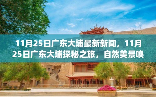 广东大埔探秘之旅，自然美景唤醒内心的宁静（最新新闻更新）