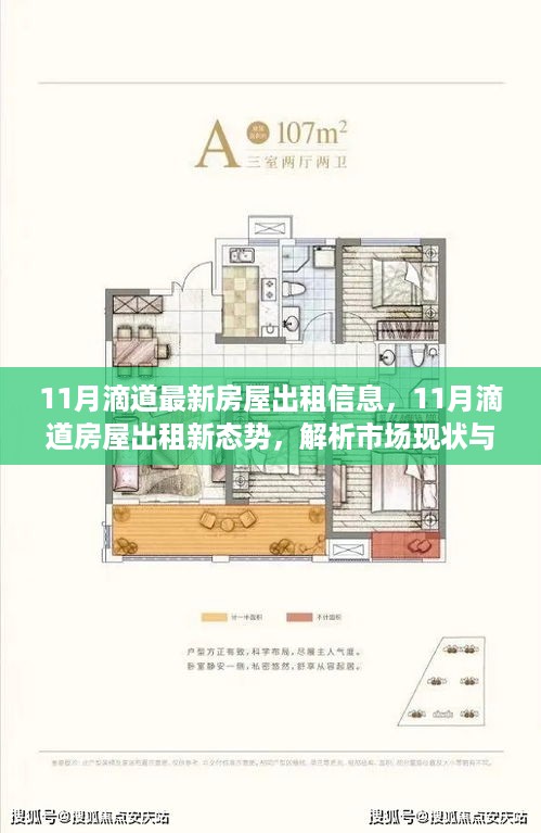 11月滴道房屋出租最新动态，市场现状解析与个人选择指南