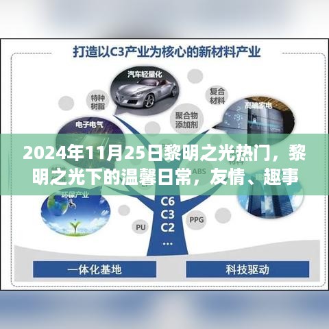 黎明之光下的温馨日常，友情、趣事与家的温暖在2024年11月25日的热潮中