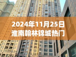 淮南翰林锦城精彩瞬间，温馨日常的欢乐时光（2024年11月25日）