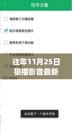 狼播影音最新破解版背后的法律与道德探讨，历年11月25日的深度解析