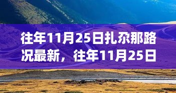 往年11月25日扎尕那路况详解，评测、特性、体验、竞品对比及用户分析