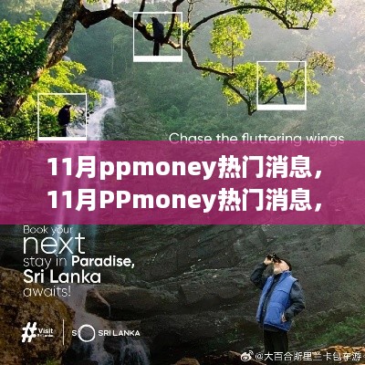 11月PPmoney热门消息，心灵旅行的奇妙探险，与大自然共舞