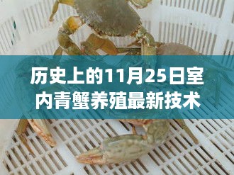 历史上的重要日期与室内青蟹养殖技术革新，从1月25日到11月25日的进步之路