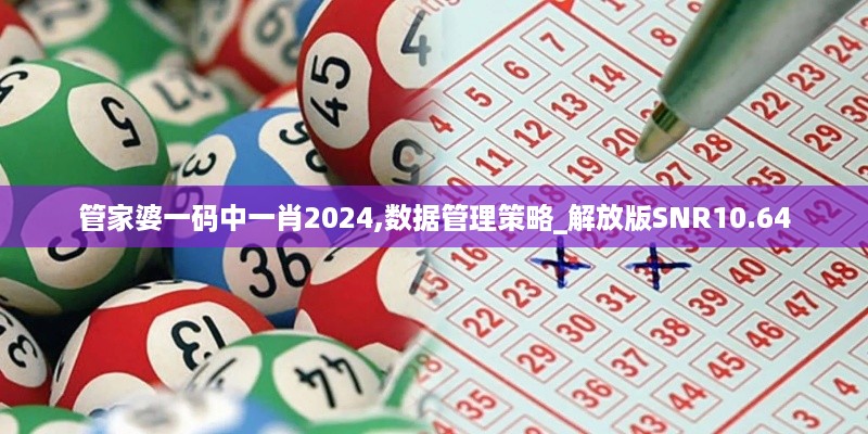 管家婆一码中一肖2024,数据管理策略_解放版SNR10.64