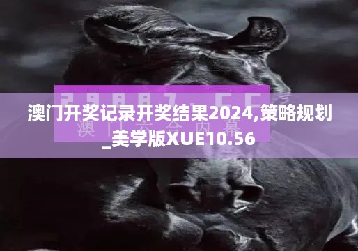 澳门开奖记录开奖结果2024,策略规划_美学版XUE10.56