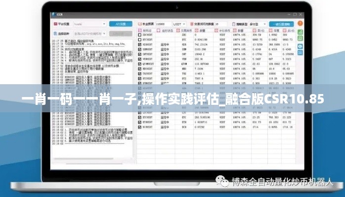 一肖一码一一肖一子,操作实践评估_融合版CSR10.85