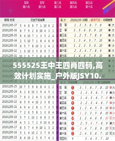 555525王中王四肖四码,高效计划实施_户外版JSY10.69