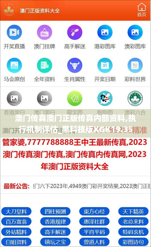 澳门传真澳门正版传真内部资料,执行机制评估_黑科技版XGK19.35