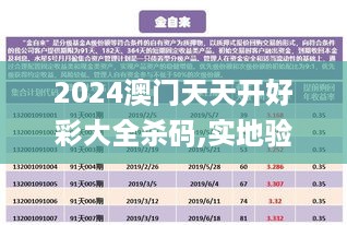 2024澳门天天开好彩大全杀码,实地验证策略具体_理财版BFE19.39