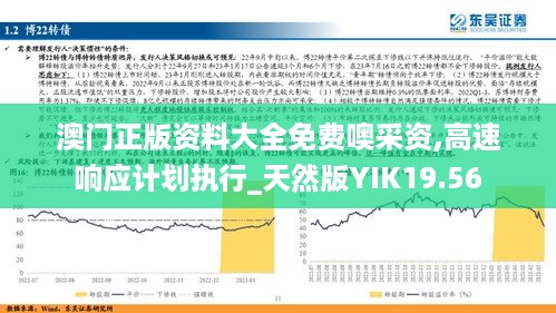 澳门正版资料大全免费噢采资,高速响应计划执行_天然版YIK19.56