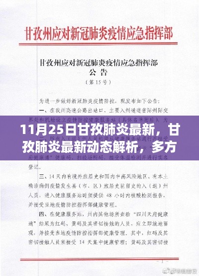 甘孜肺炎最新动态解析，多方观点碰撞与个人立场阐述（11月25日最新）