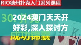 2024澳门天天开好彩,深入探讨方案策略_奢华版VKG10.31