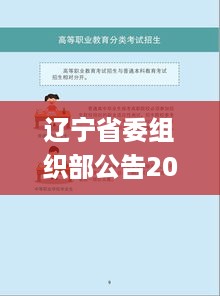 辽宁省委组织部公告2024第218号,连贯性方法执行评估_硬件版HHI10.60