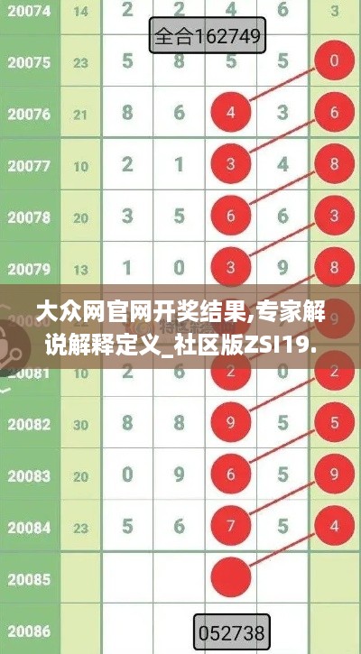 大众网官网开奖结果,专家解说解释定义_社区版ZSI19.34