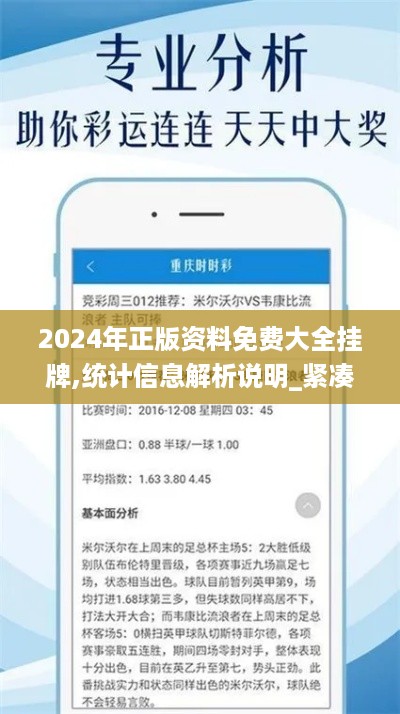 2024年正版资料免费大全挂牌,统计信息解析说明_紧凑版WRI19.5