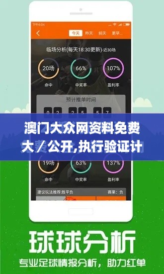 澳门大众网资料免费大／公开,执行验证计划_跨界版TYF10.12