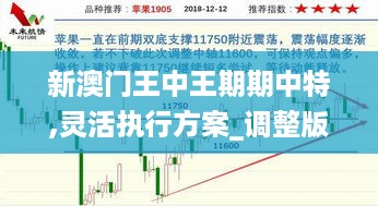 新澳门王中王期期中特,灵活执行方案_调整版XRW10.33