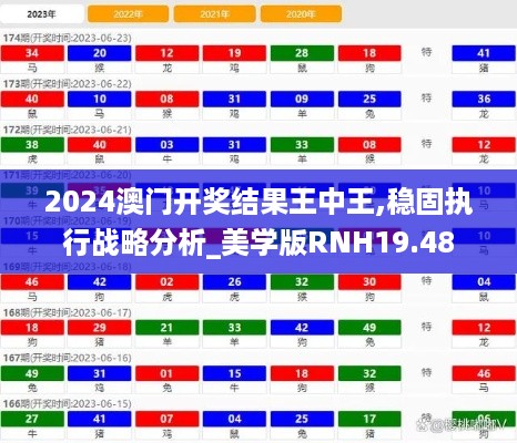 2024澳门开奖结果王中王,稳固执行战略分析_美学版RNH19.48