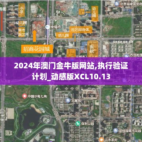 2024年澳门金牛版网站,执行验证计划_动感版XCL10.13