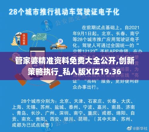 管家婆精准资料免费大全公开,创新策略执行_私人版XIZ19.36