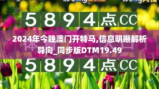 2024年今晚澳门开特马,信息明晰解析导向_同步版DTM19.49