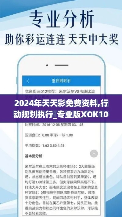 2024年天天彩免费资料,行动规划执行_专业版XOK10.54