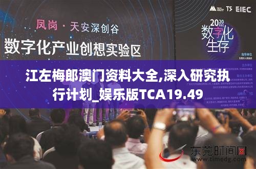 江左梅郎澳门资料大全,深入研究执行计划_娱乐版TCA19.49